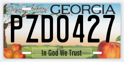 GA license plate PZD0427