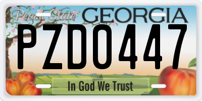 GA license plate PZD0447