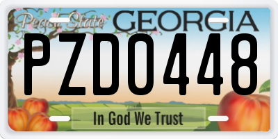 GA license plate PZD0448