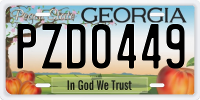 GA license plate PZD0449