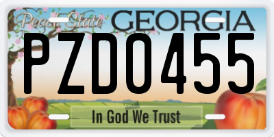 GA license plate PZD0455