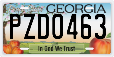 GA license plate PZD0463