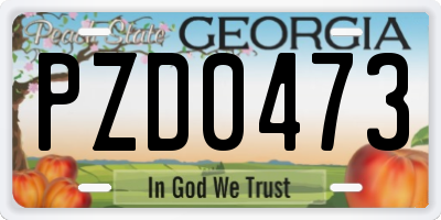GA license plate PZD0473
