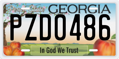 GA license plate PZD0486