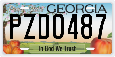 GA license plate PZD0487