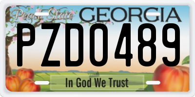 GA license plate PZD0489
