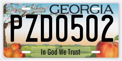 GA license plate PZD0502