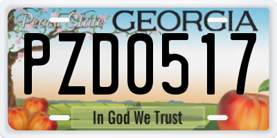 GA license plate PZD0517