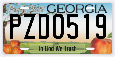 GA license plate PZD0519