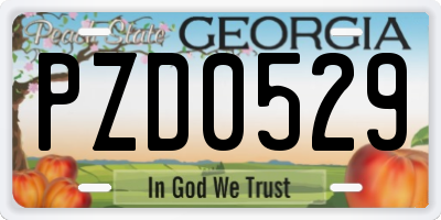 GA license plate PZD0529