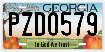 GA license plate PZD0579