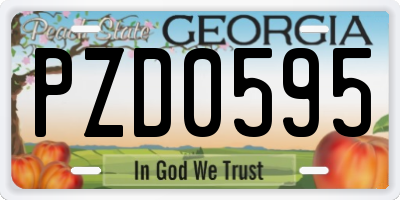 GA license plate PZD0595