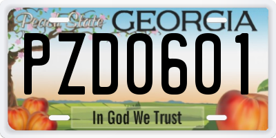 GA license plate PZD0601