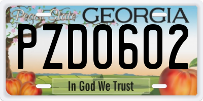 GA license plate PZD0602
