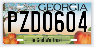GA license plate PZD0604
