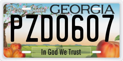 GA license plate PZD0607