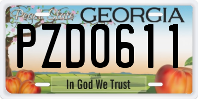 GA license plate PZD0611