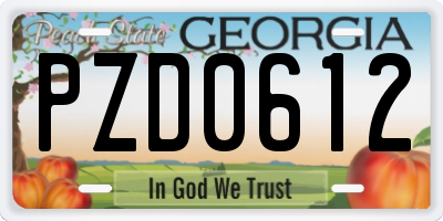 GA license plate PZD0612