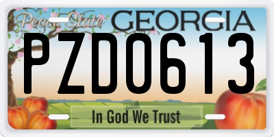 GA license plate PZD0613