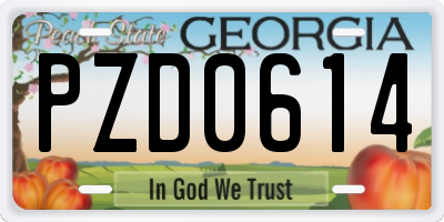 GA license plate PZD0614
