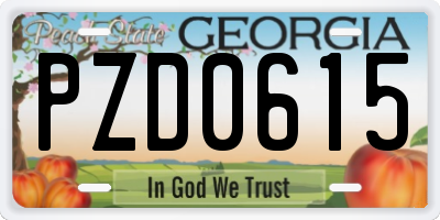 GA license plate PZD0615