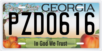 GA license plate PZD0616