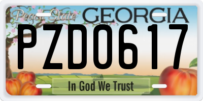 GA license plate PZD0617