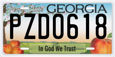 GA license plate PZD0618