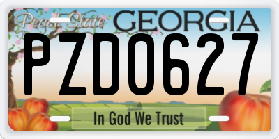 GA license plate PZD0627