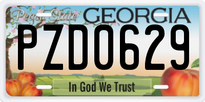 GA license plate PZD0629