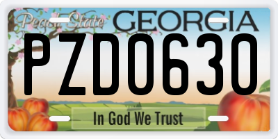 GA license plate PZD0630