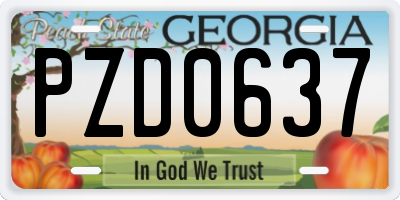 GA license plate PZD0637