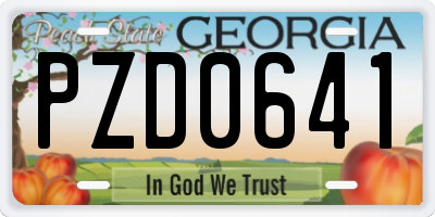 GA license plate PZD0641
