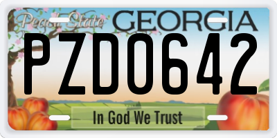 GA license plate PZD0642