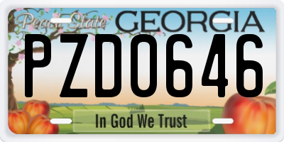 GA license plate PZD0646