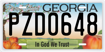 GA license plate PZD0648