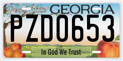 GA license plate PZD0653