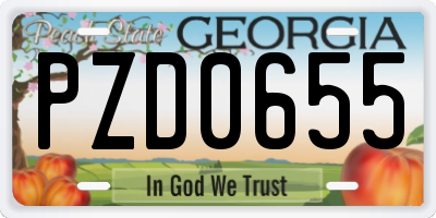 GA license plate PZD0655