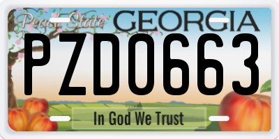 GA license plate PZD0663