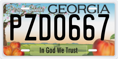 GA license plate PZD0667