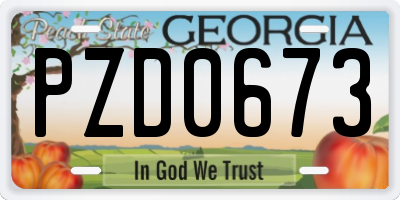 GA license plate PZD0673