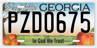 GA license plate PZD0675