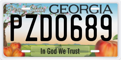 GA license plate PZD0689