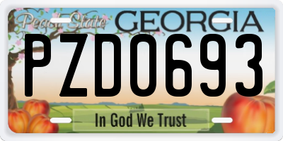GA license plate PZD0693