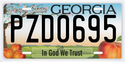GA license plate PZD0695