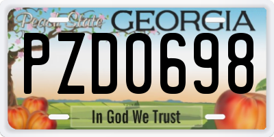 GA license plate PZD0698