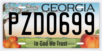 GA license plate PZD0699