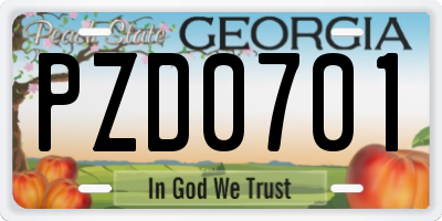 GA license plate PZD0701