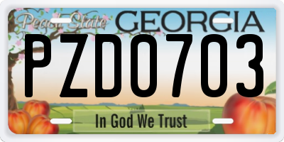GA license plate PZD0703