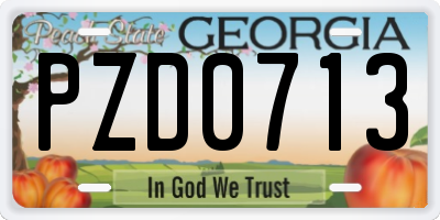 GA license plate PZD0713